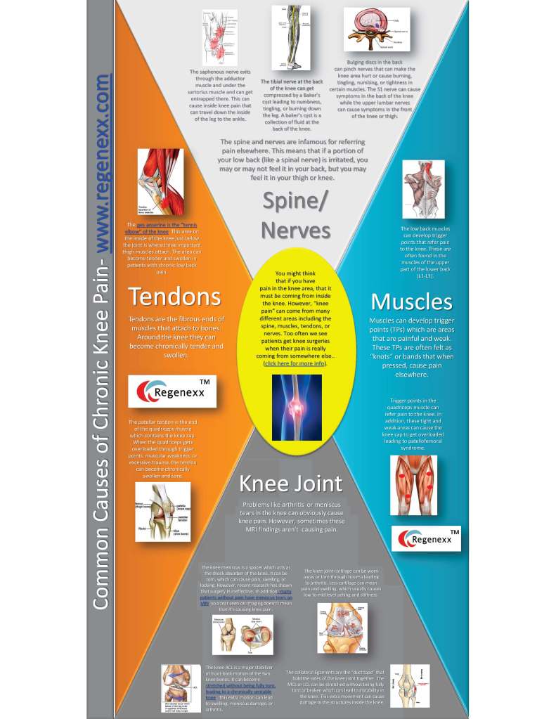 Common-causes-of-Chronic-knee-pain-Infographic